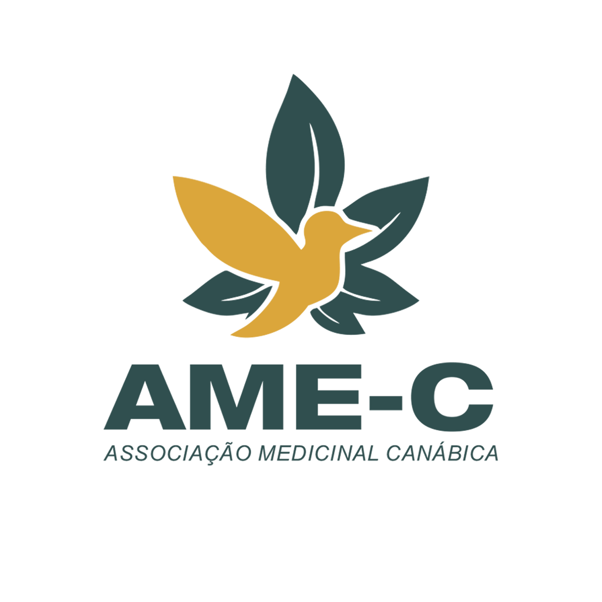 Ame-c